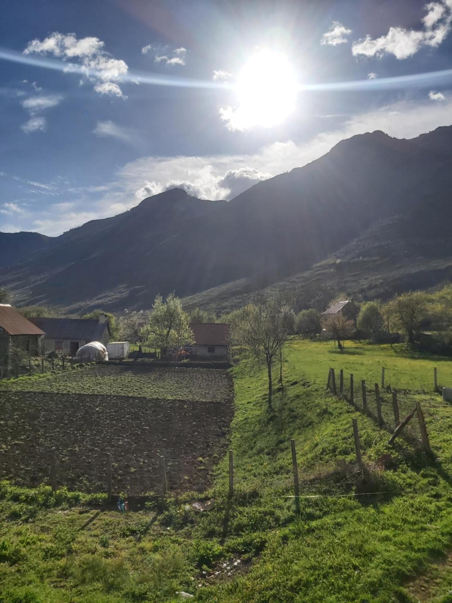 Boge Albania Gospodarstwo wiejskie Szkodra